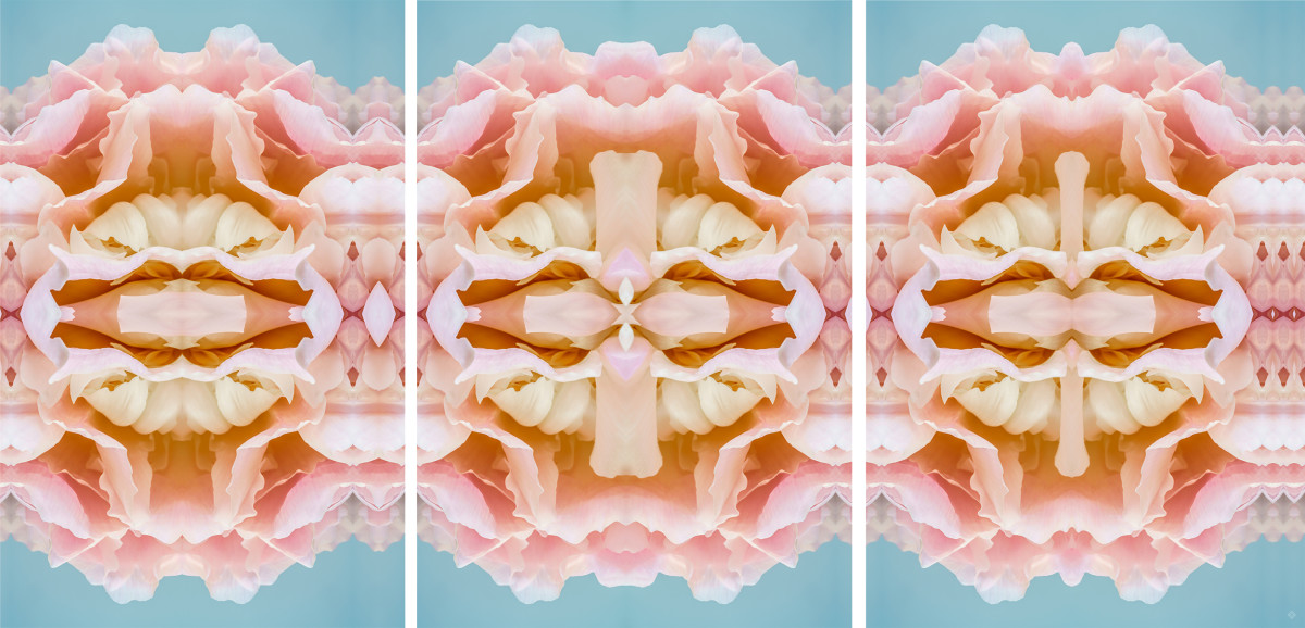 Blush, Series 3, love note "beauty" by Kate Wilson 