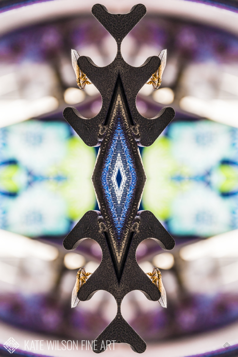 Cicada Lounge by Kate Wilson 