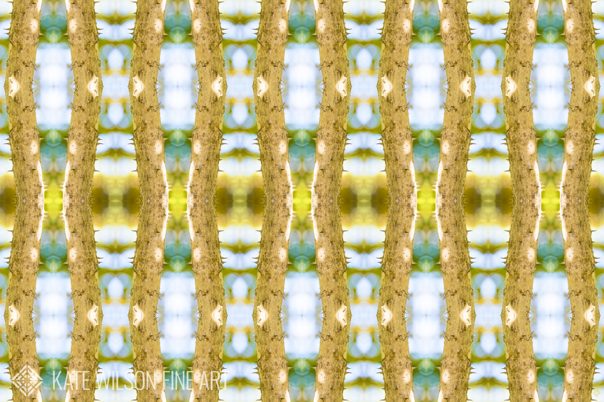 Devil's March by Kate Wilson 