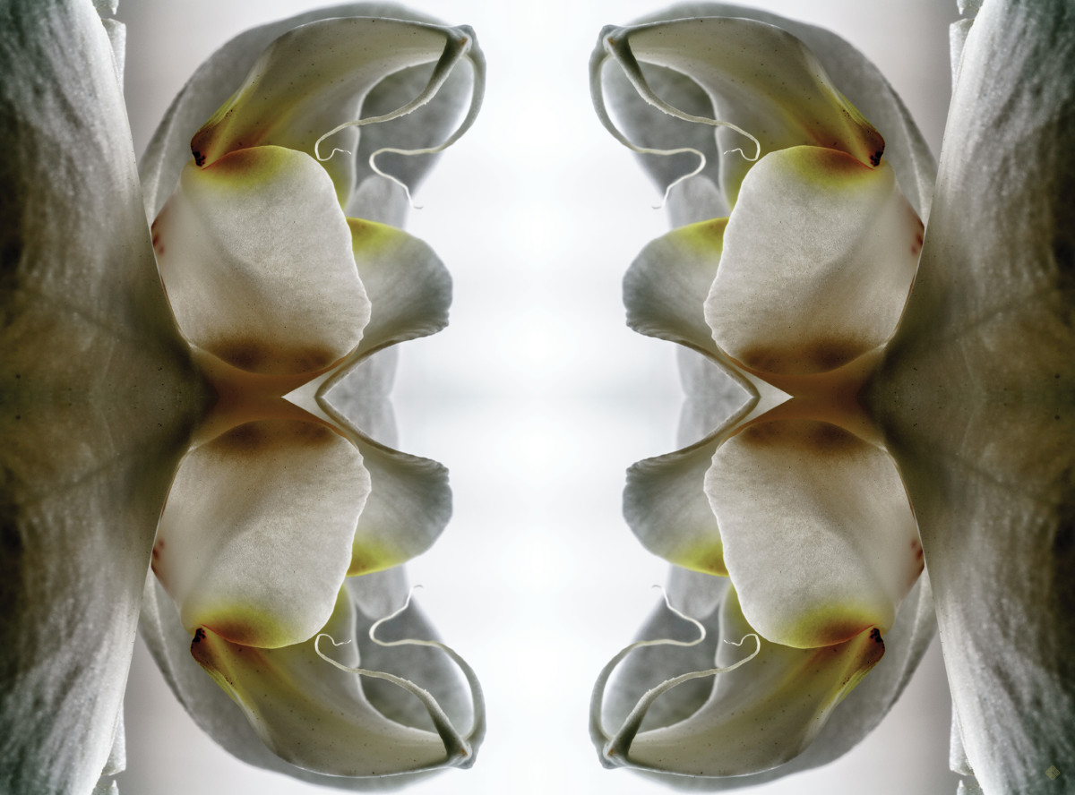 Harbinger, love note "possibility" by Kate Wilson 