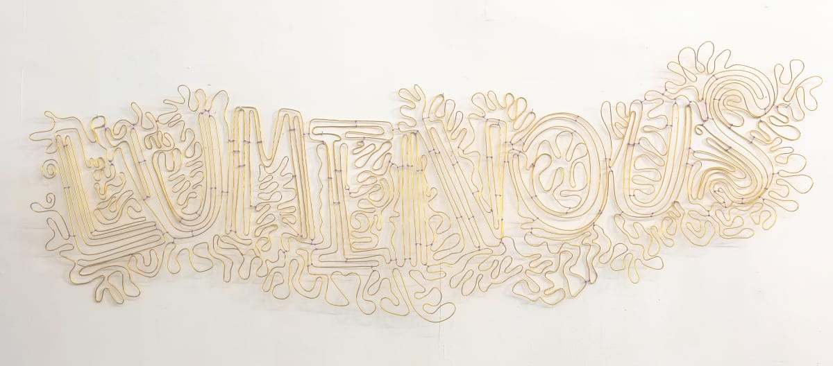 Luminous by Kate Wilson 