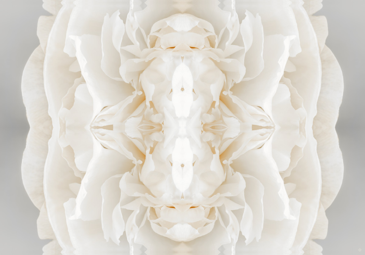 Sanguine, love note "thrive" by Kate Wilson 