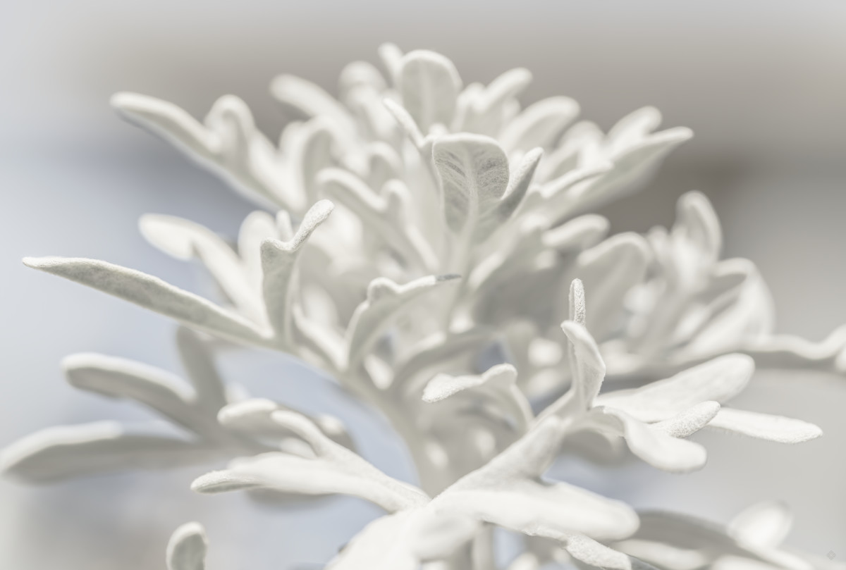 Maritima 1, love note "extend" by Kate Wilson 