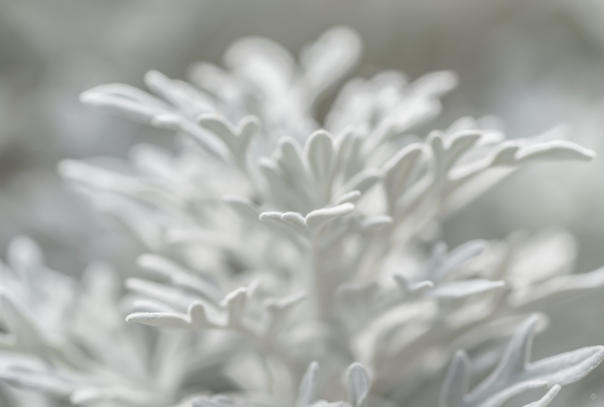 Maritima 4, love note "offer" by Kate Wilson 