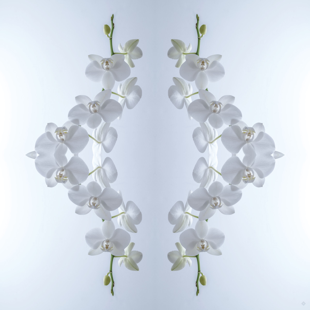 Mirror Mirror, love note "inspire" by Kate Wilson 