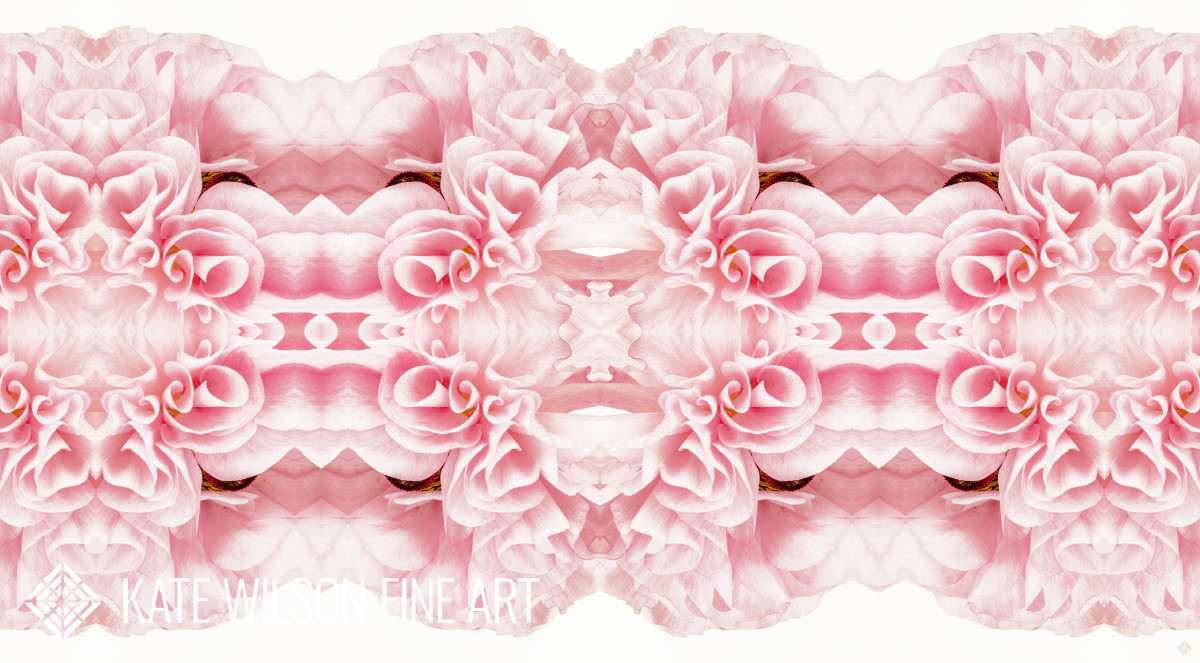 Paragon Flourish, Series 2, love note "wonder" by Kate Wilson 