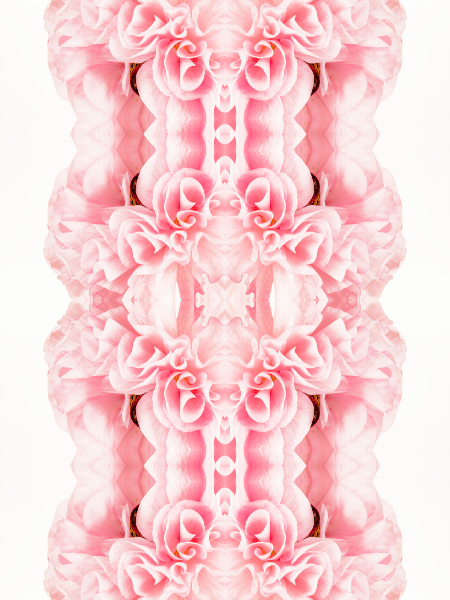 Paragon Flourish, Series 1, love note "wonder" by Kate Wilson 