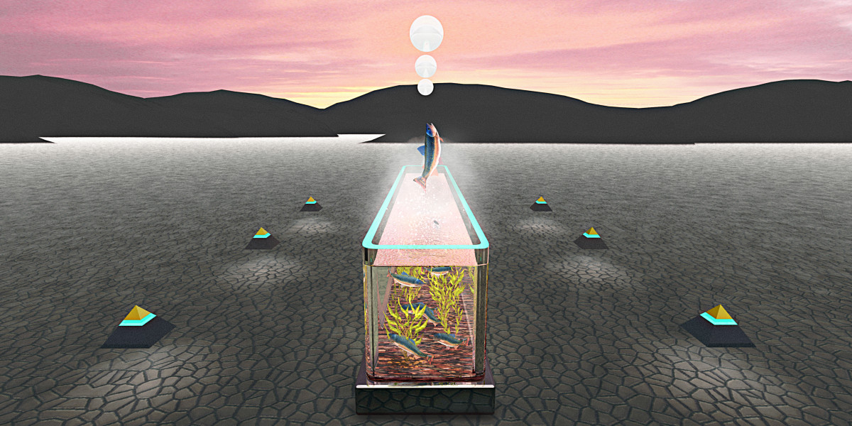 Desert Aquarium by Peter J Sucy Digital Arts 
