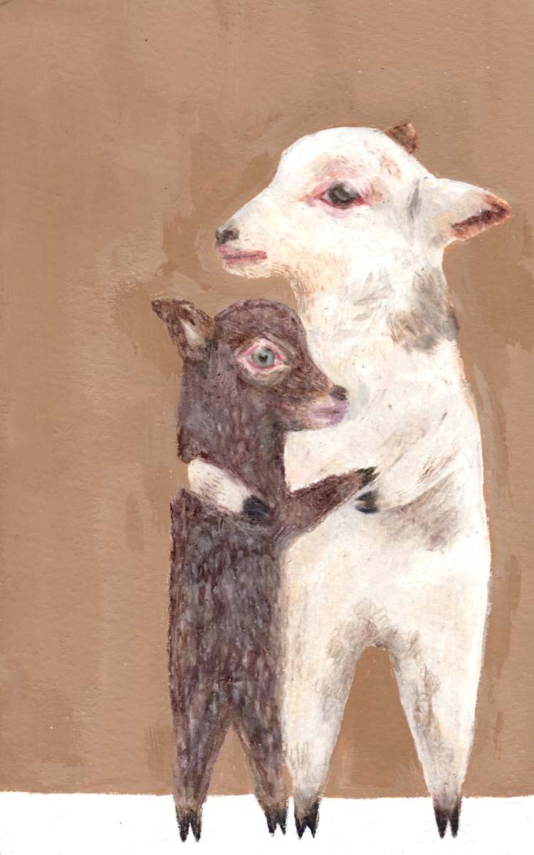 safe lambs by Ashley Ivye, Image 1.