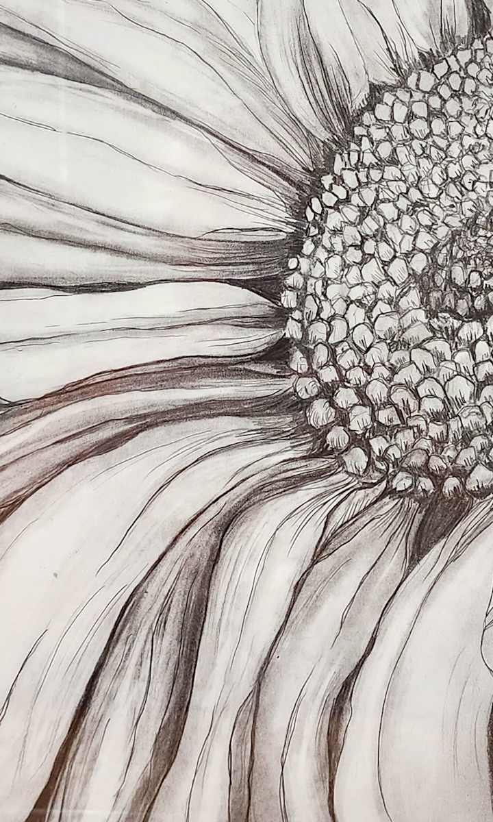 Let the Daisy Decide - He Loves Me, He Loves Me Not by Lynn Cote ...