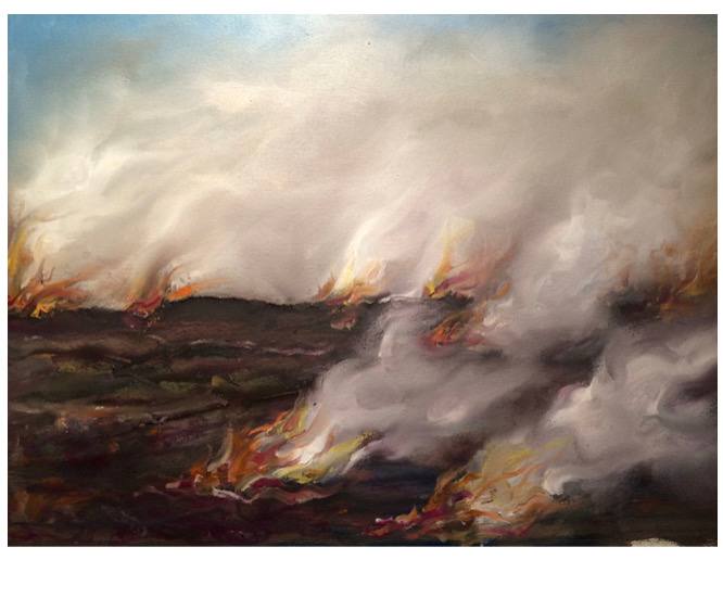 GMO Fields, 2015 by Ethan Garton, Image 1.