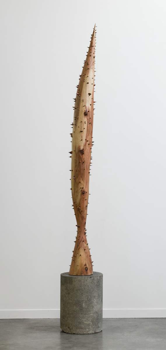Sin Título by Chavis Mármol, Image 1.