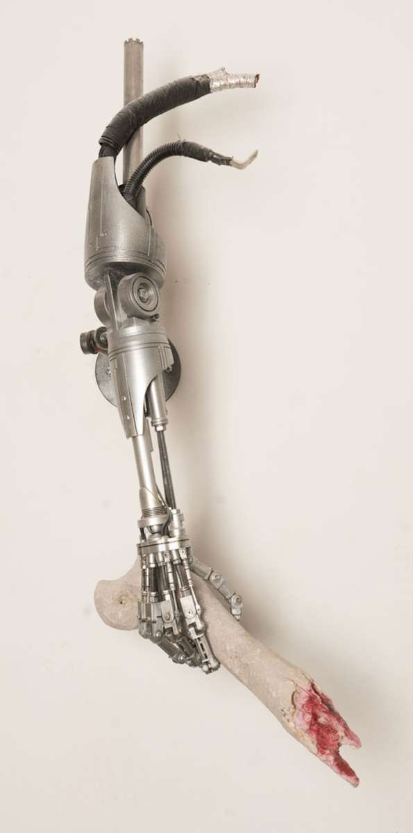 ODISEA T-800 by Chavis Mármol, Image 1.