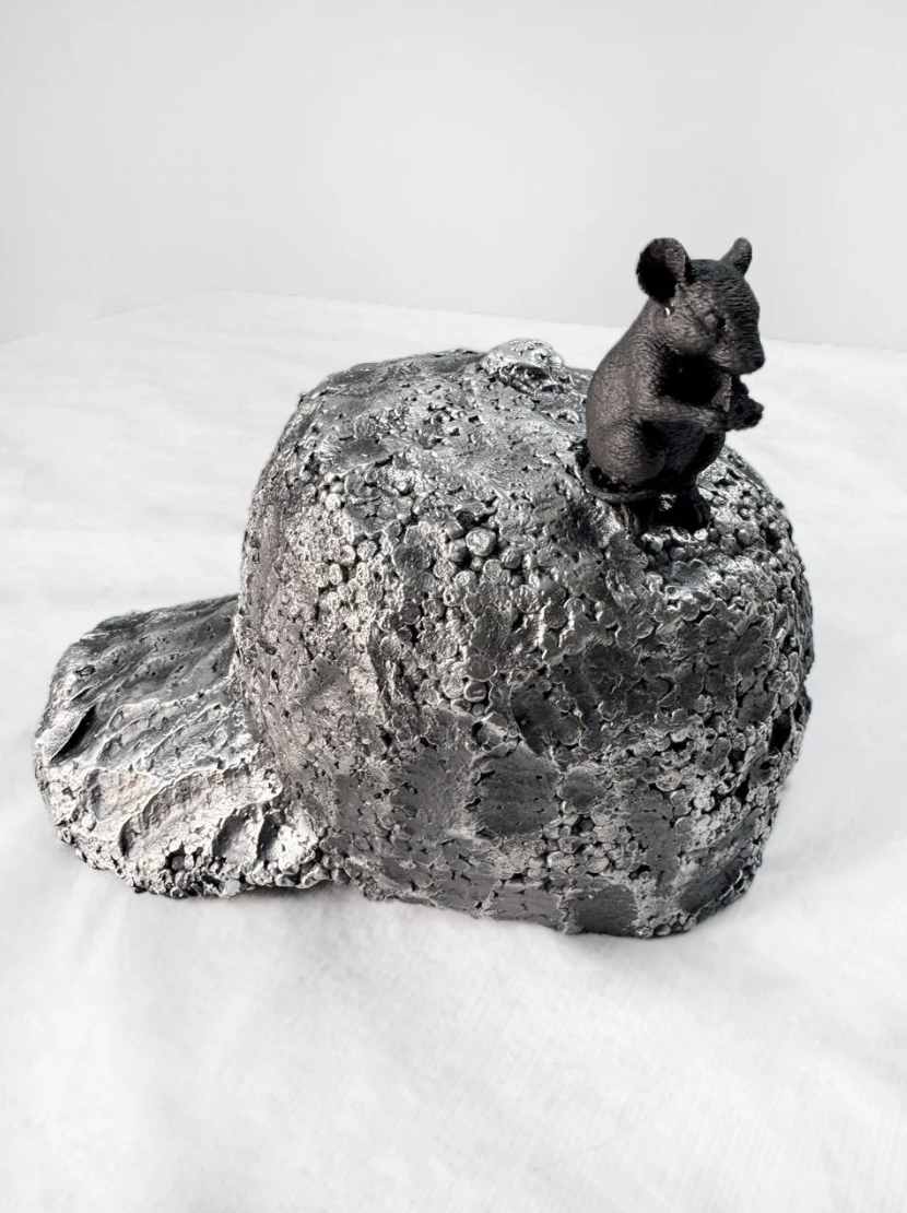 Mouse house by Chavis Mármol, Image 1.