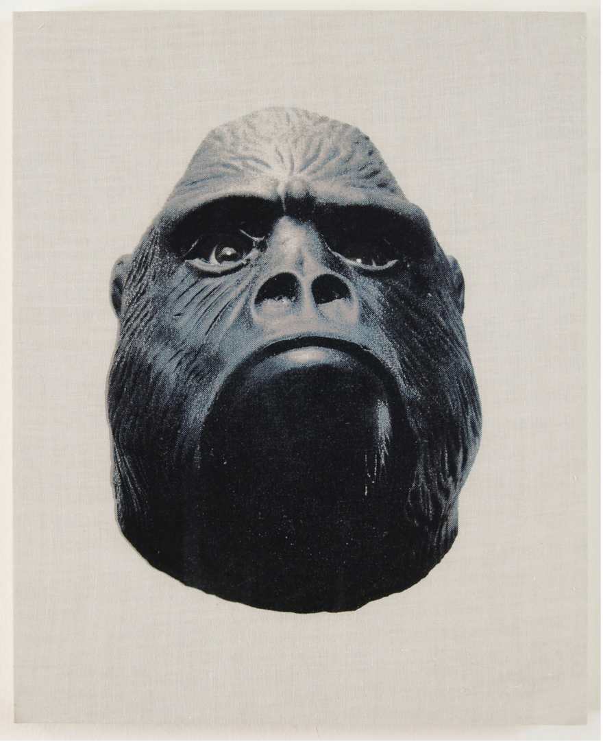 Sin Título (Gorilas 1) by Chavis Mármol, Image 1.