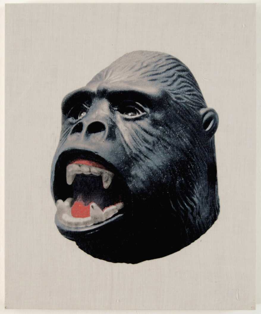 Sin Título (Gorilas 2) by Chavis Mármol, Image 1.