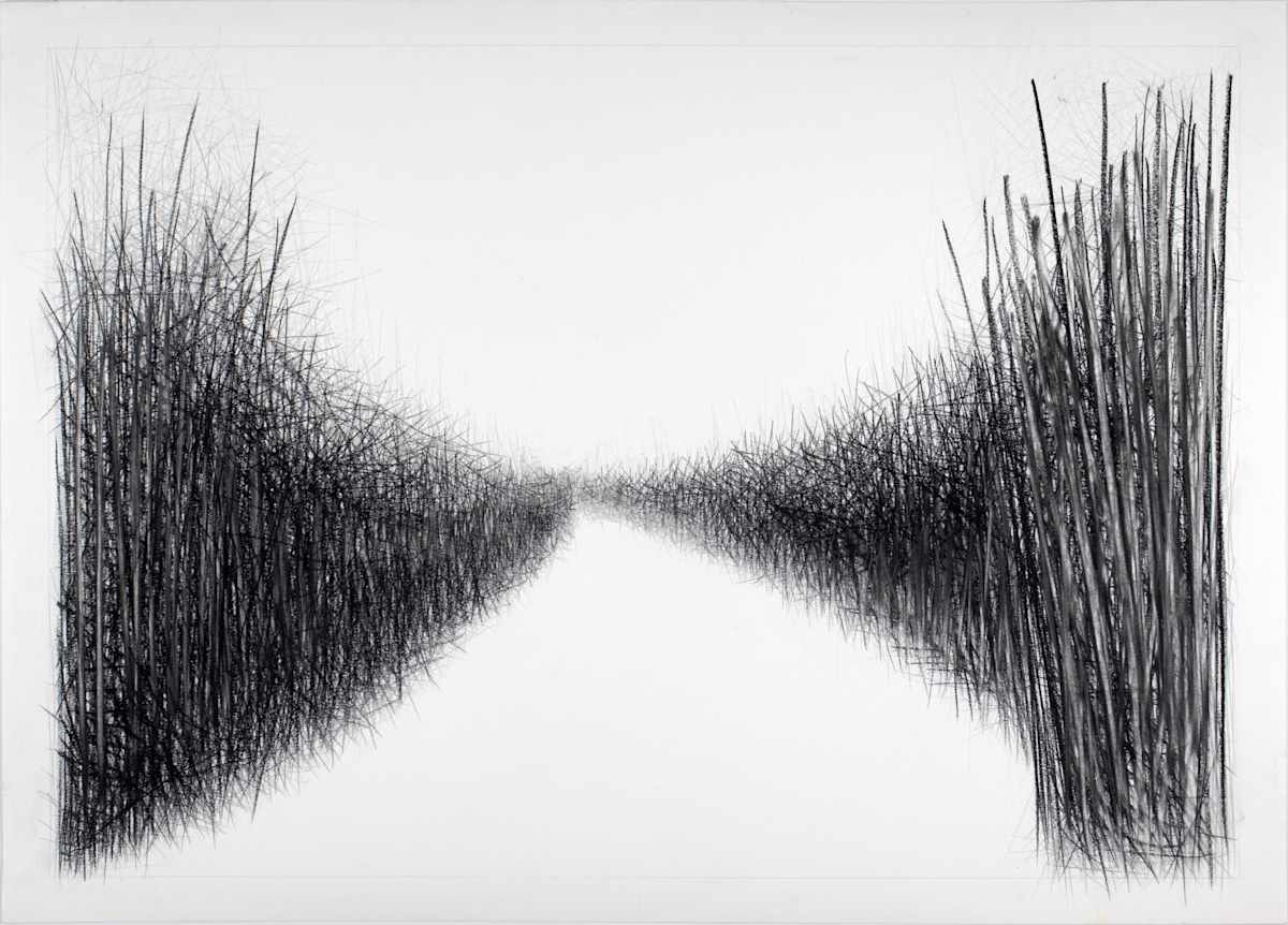 Path II by Douglas Gilbert, Image 1.