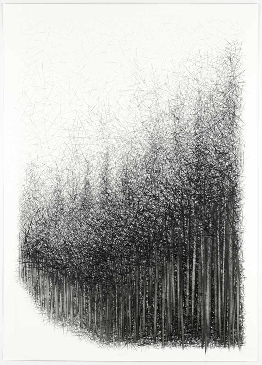 Path IV by Douglas Gilbert, Image 1.