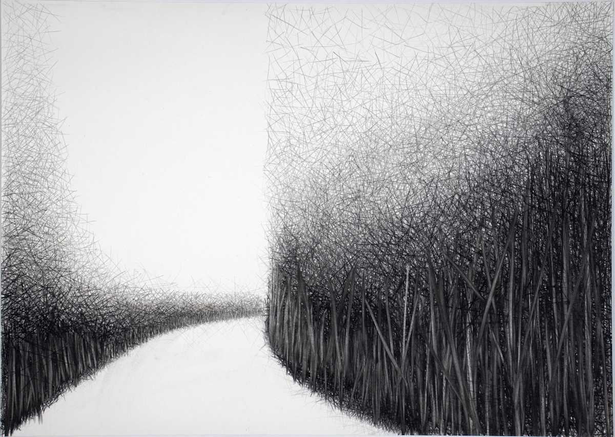 Path VI by Douglas Gilbert, Image 1.