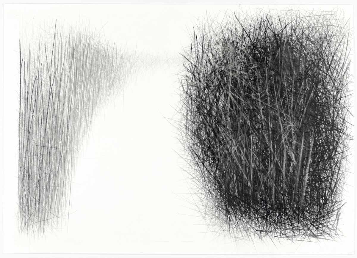 Path V by Douglas Gilbert, Image 1.