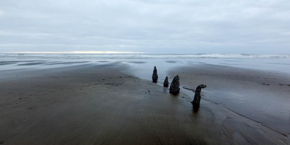 Quartetlet by Ellen Konar + Steve Goldband, Image 1.