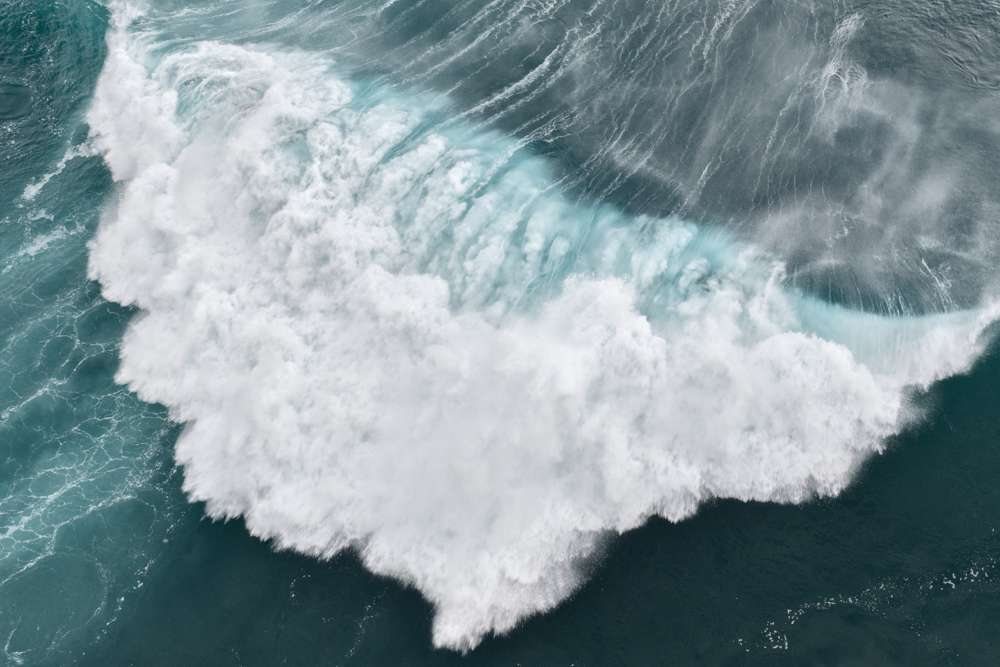 _untitled_27 by Ellen Konar & Steve Goldband, Image 1.