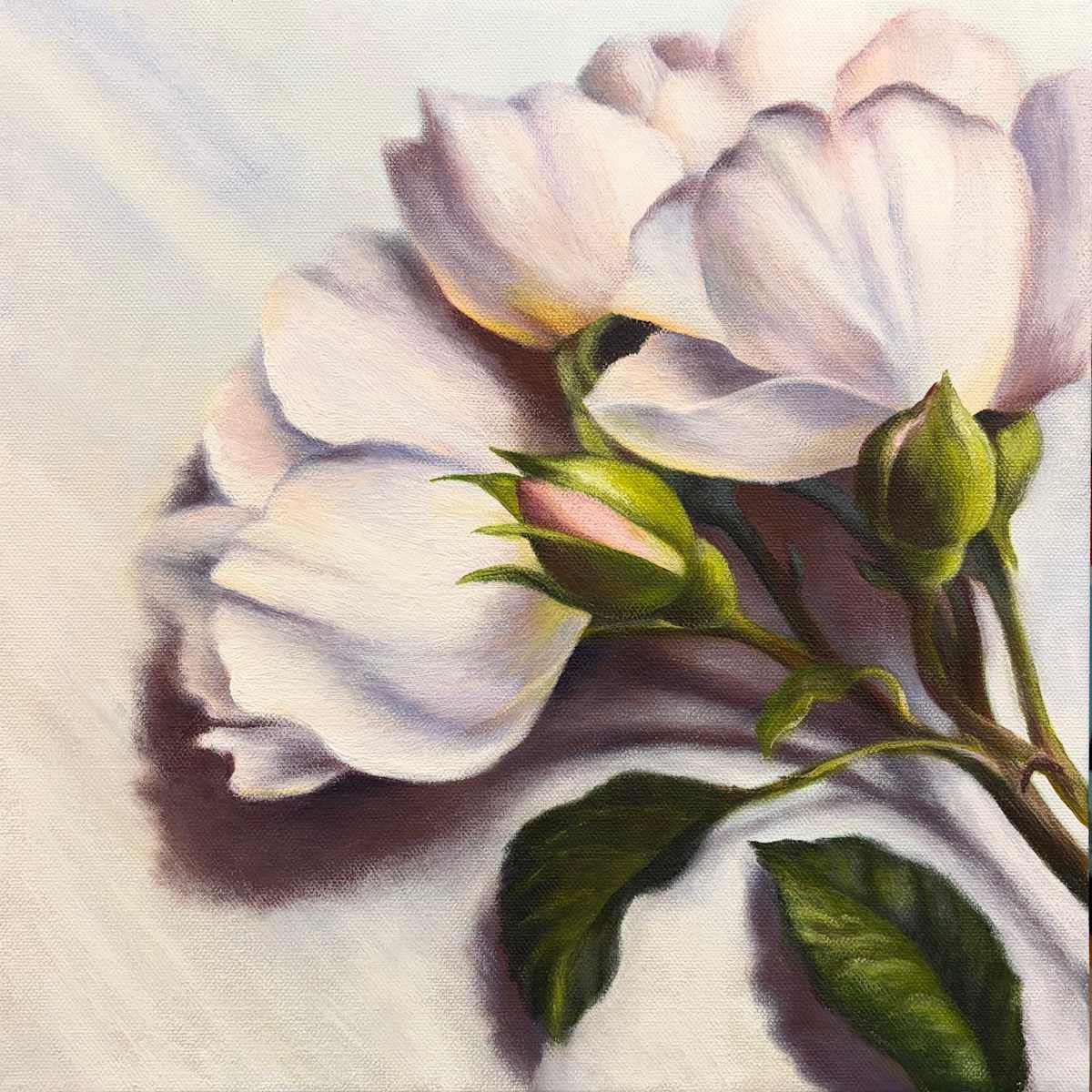 July Roses by Nadine Baker, Image 1.