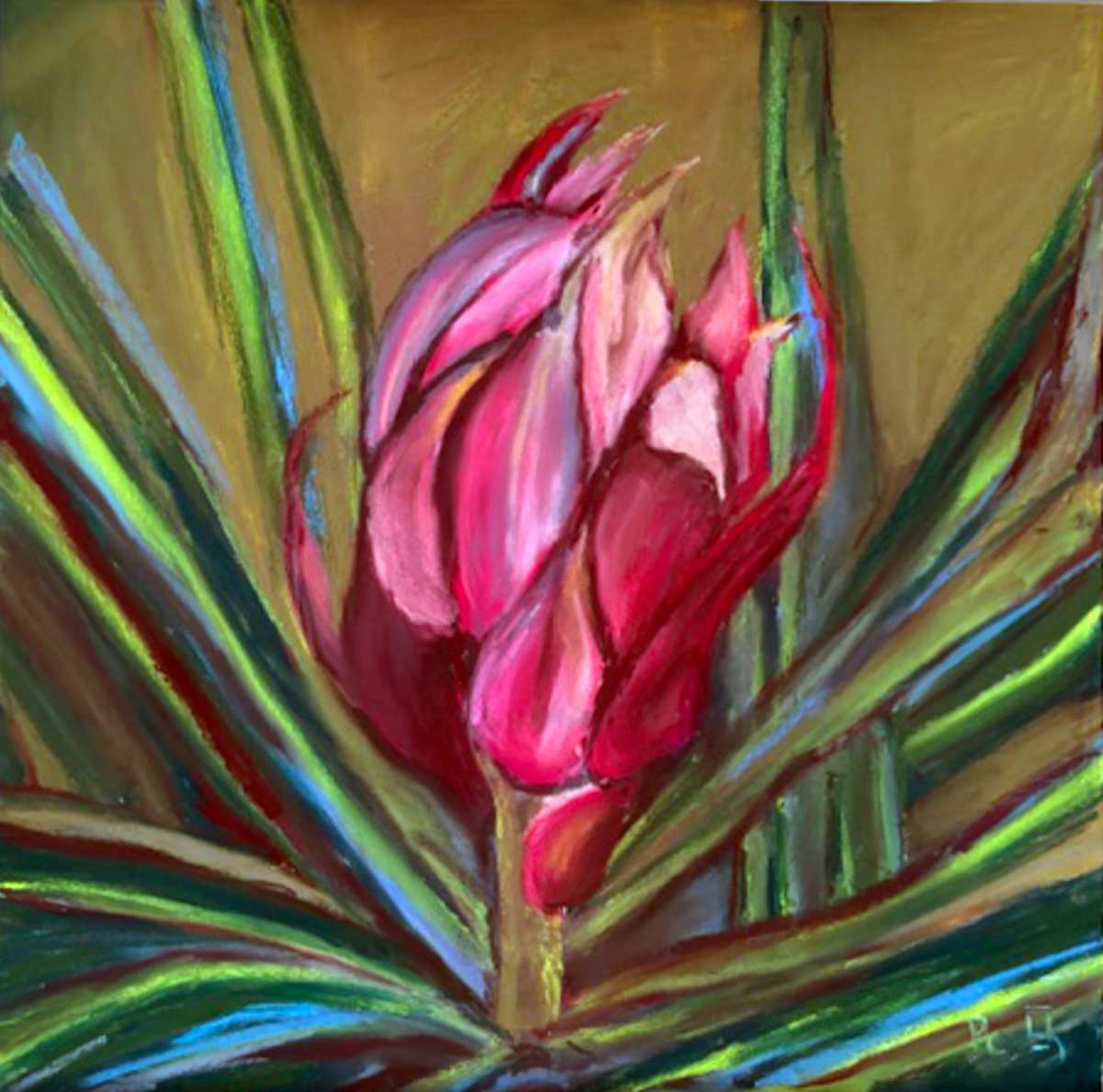 Anticipation FRAMED by patsy culver, Image 1.