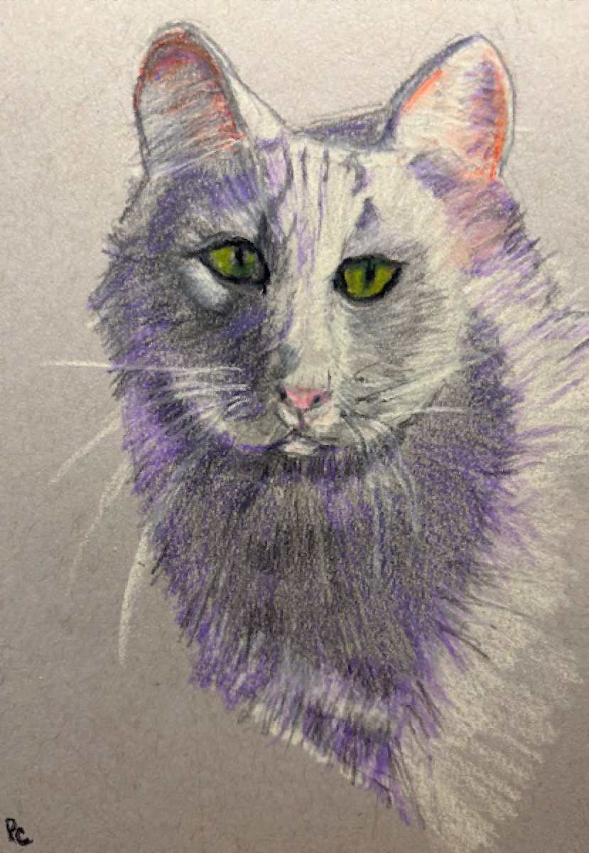 Sweet Kitty FRAMED by patsy culver, Image 1.