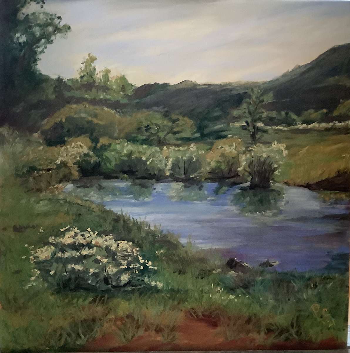 After the Rains FRAMED by patsy culver, Image 1.