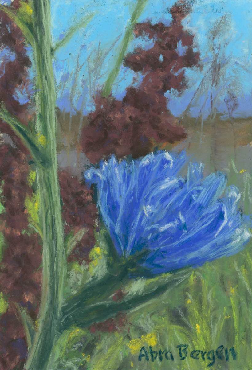 Roadside Chicory by Abra Bergen, Image 3.