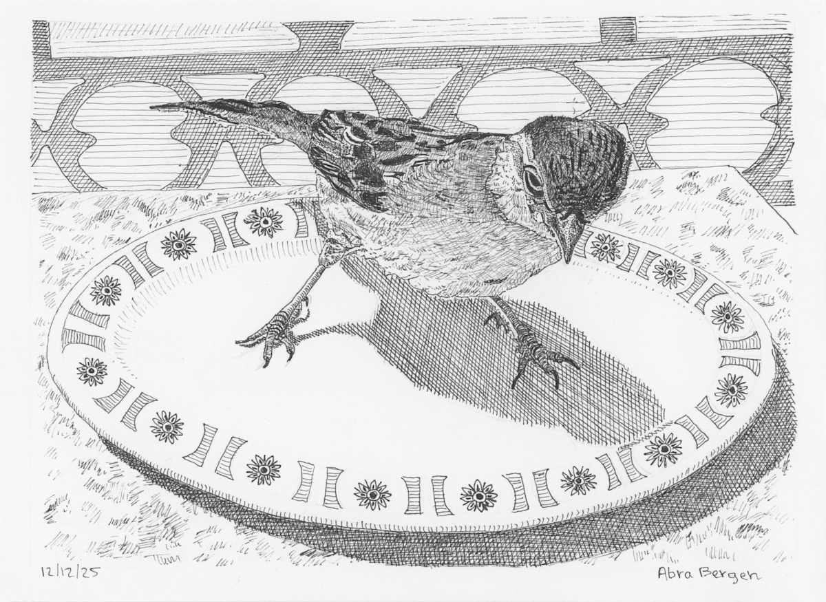 Cafe Sparrow on my Plate by Abra Bergen, Image 10.