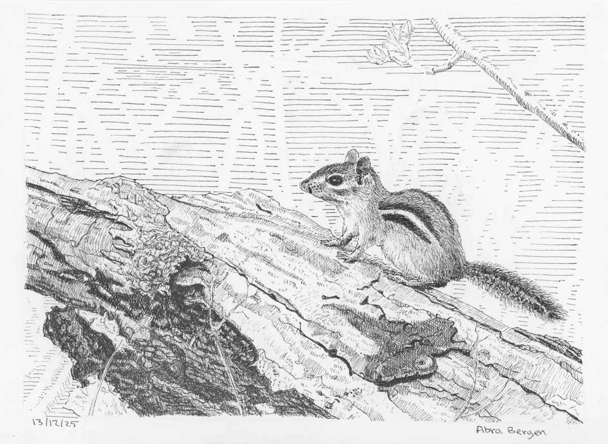 Chip on a Log by Abra Bergen, Image 8.