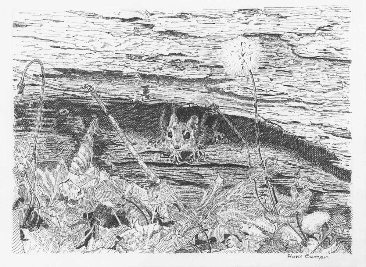 Chipmunk's Log by Abra Bergen, Image 9.