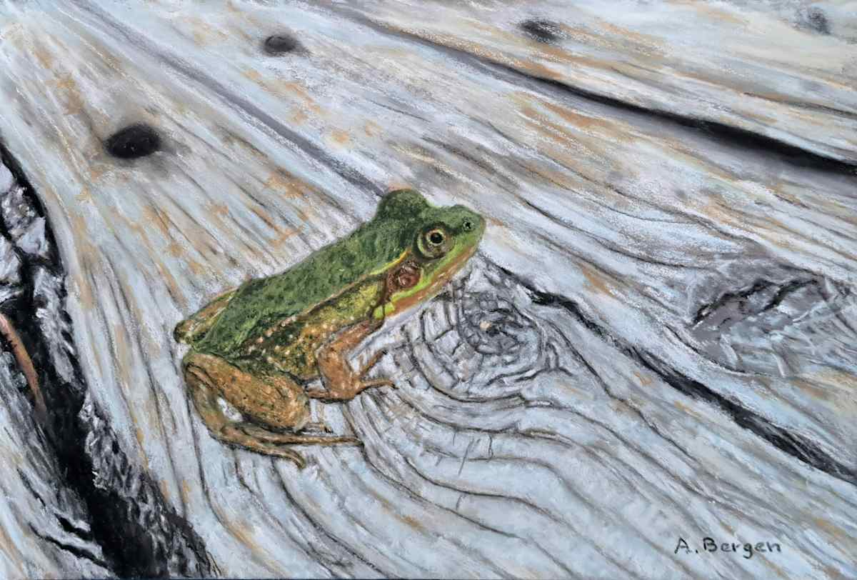 On the Boardwalk by Abra Bergen, Image 20.