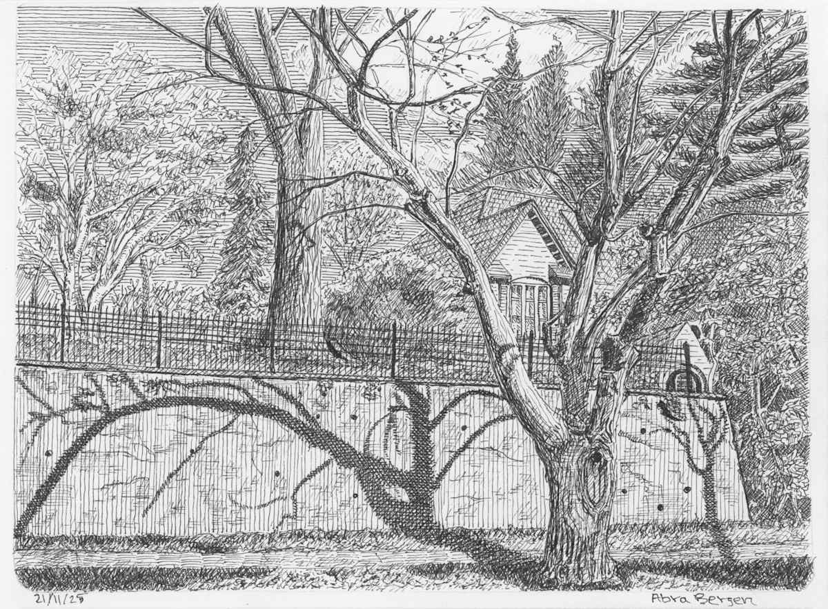 Trees and Shadow Play, 1 by Abra Bergen, Image 24.