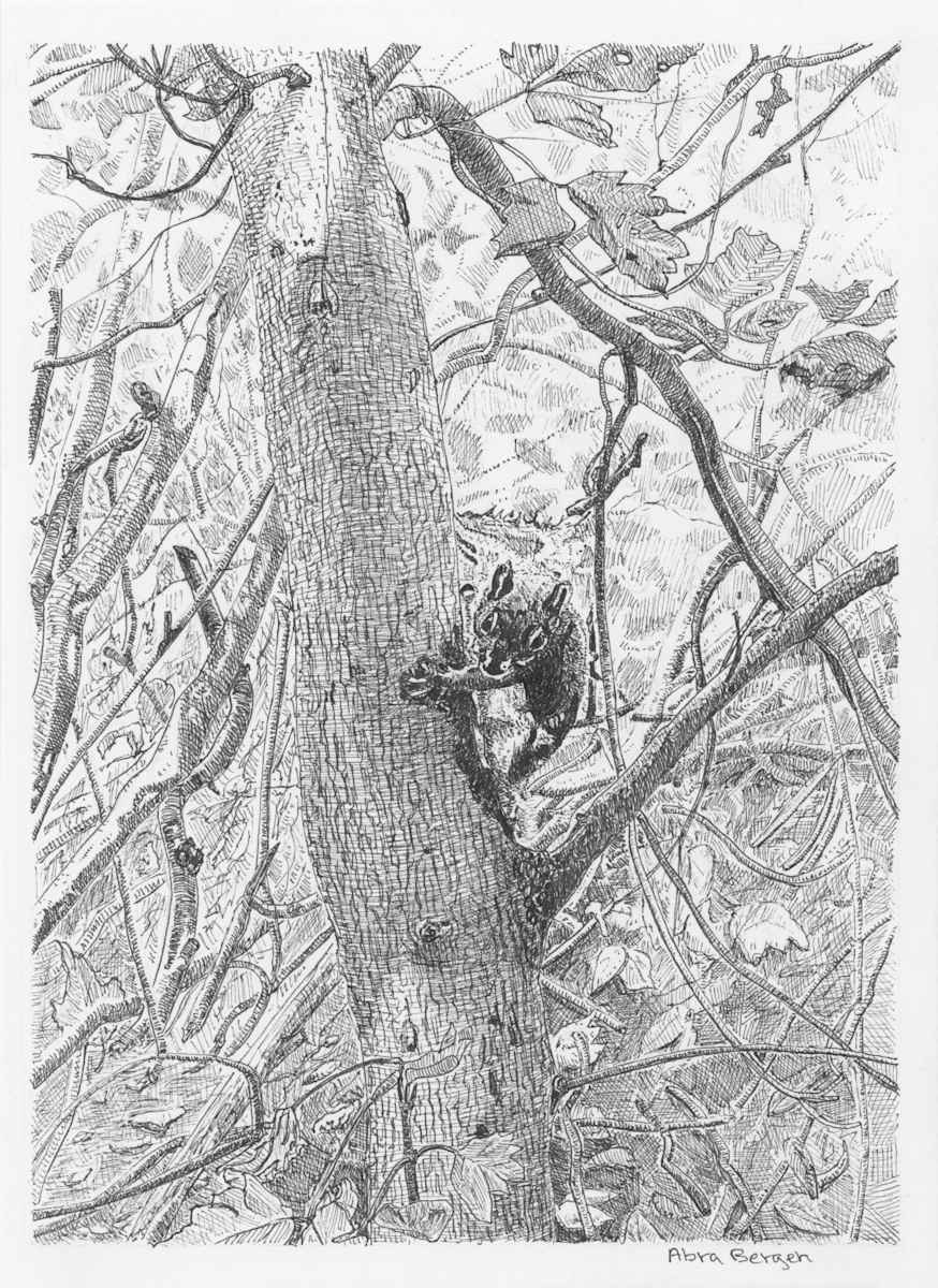 "You Lookin' at Me?" by Abra Bergen, Image 22.