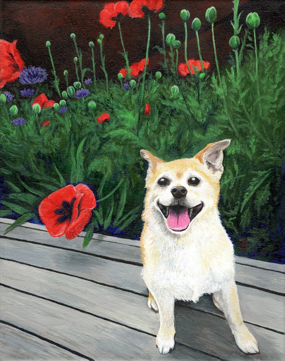 Million Dollar Smile 