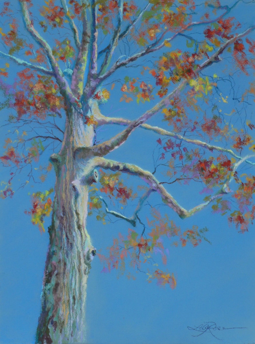 Branching Out by Rose S. Kennedy 