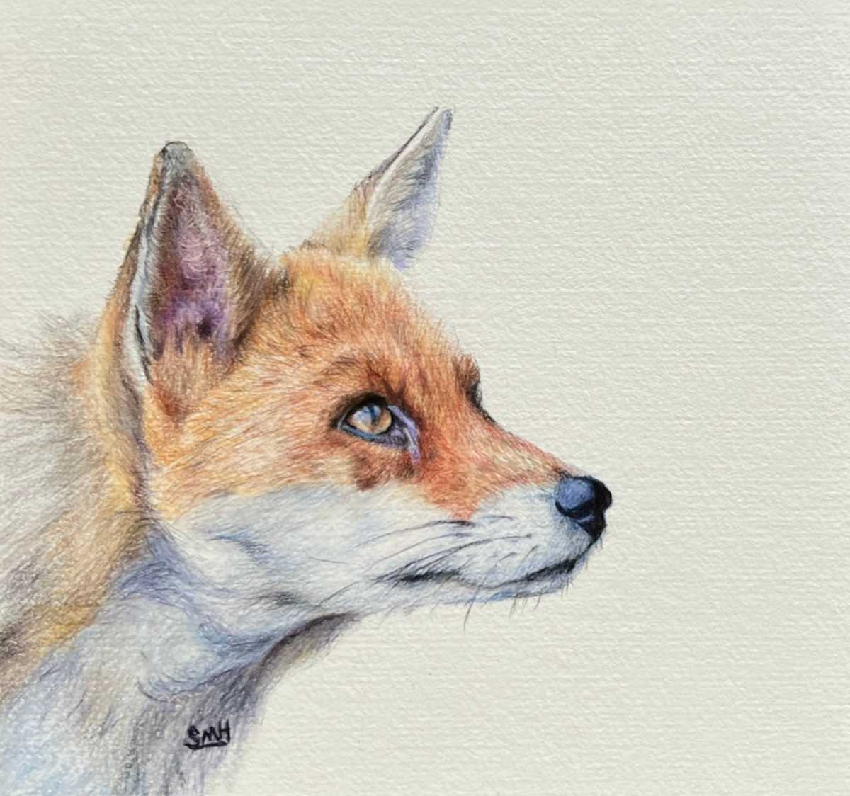 Fox by Stephanie Henry, Image 1.