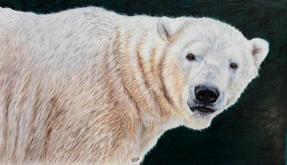 Oh, Hey… by Stephanie Henry, Image 1.