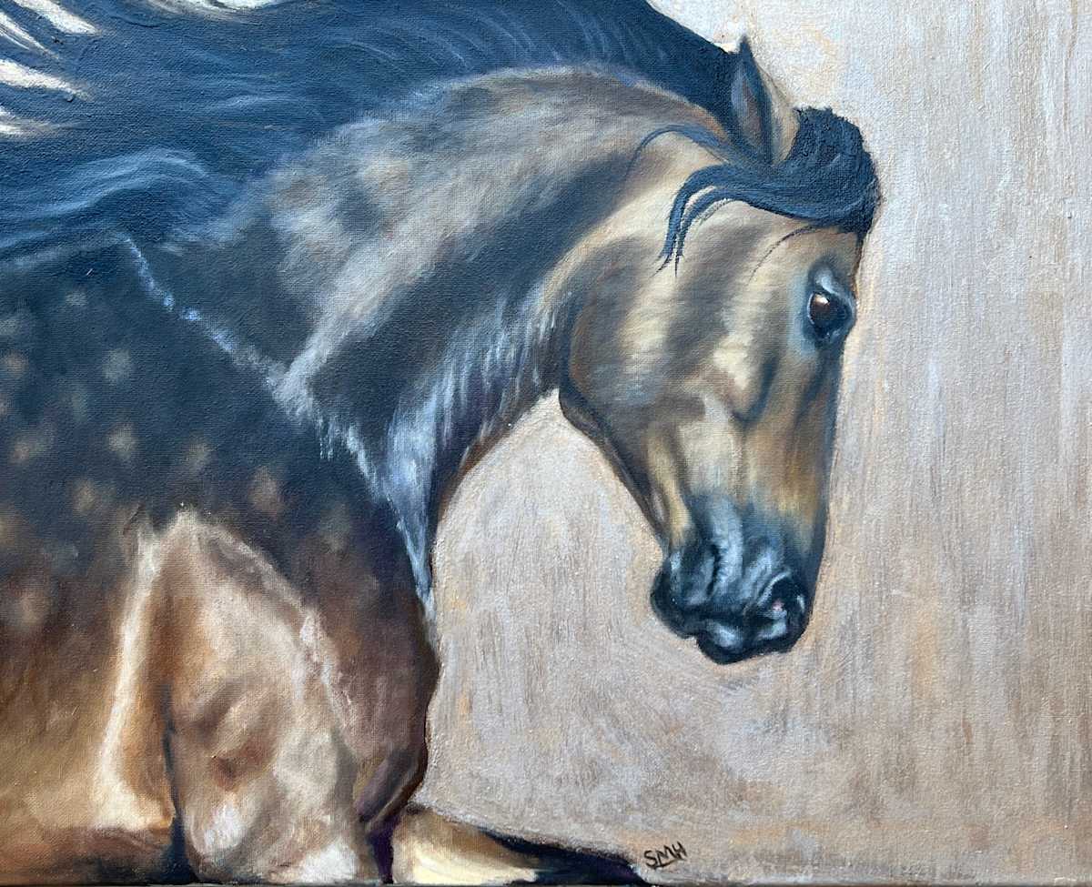 Andalusian Gold by Stephanie Henry, Image 1.