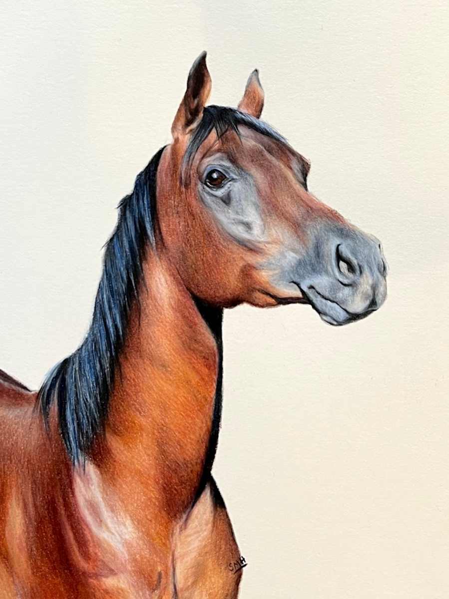 Alert by Stephanie Henry, Image 1.