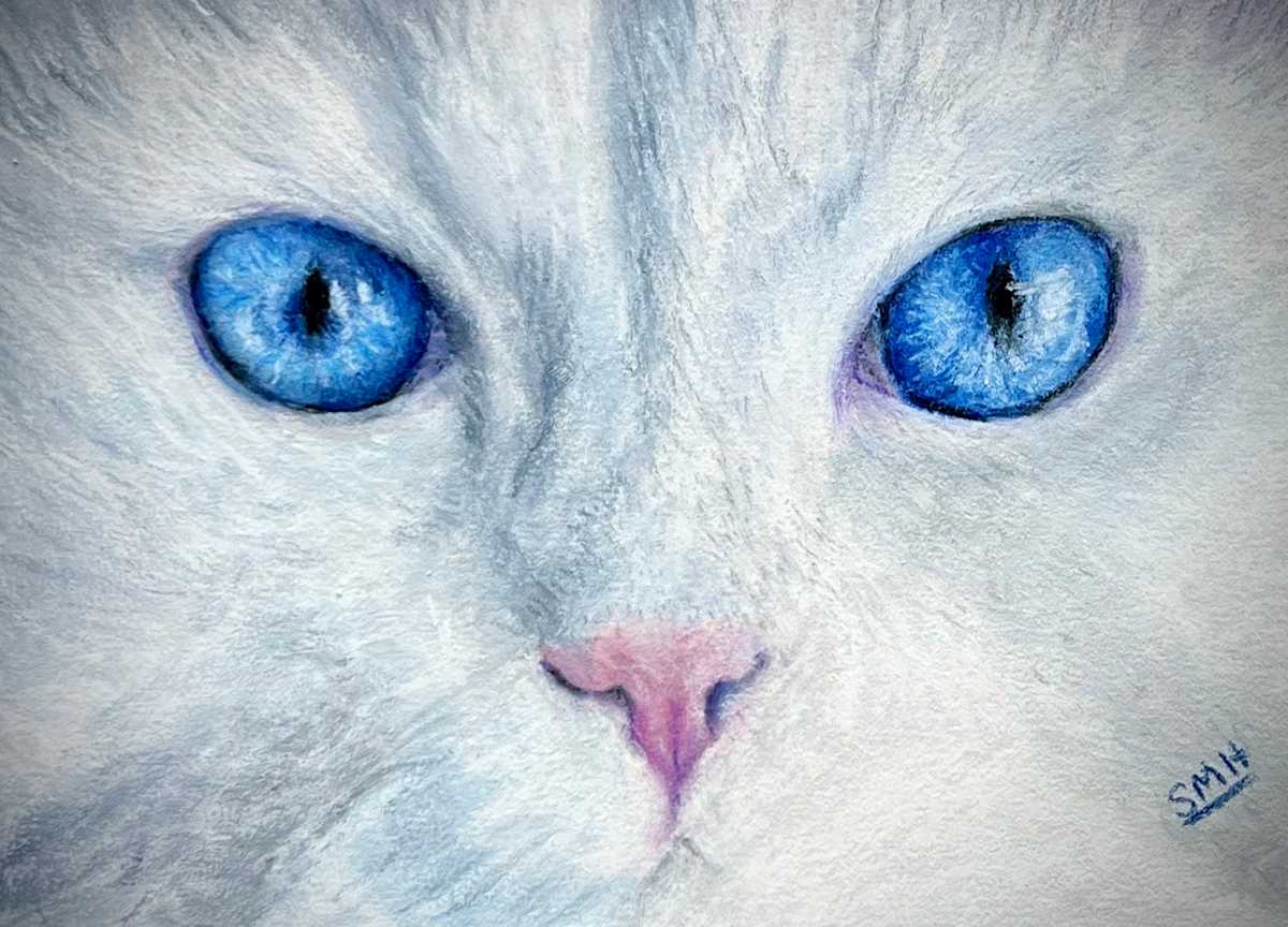 Cat Eyes - White by Stephanie Henry, Image 1.