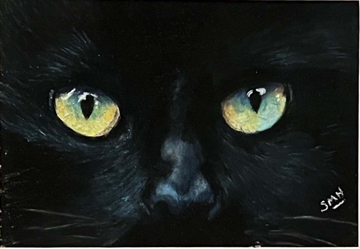 Cat Eyes - Black by Stephanie Henry, Image 1.