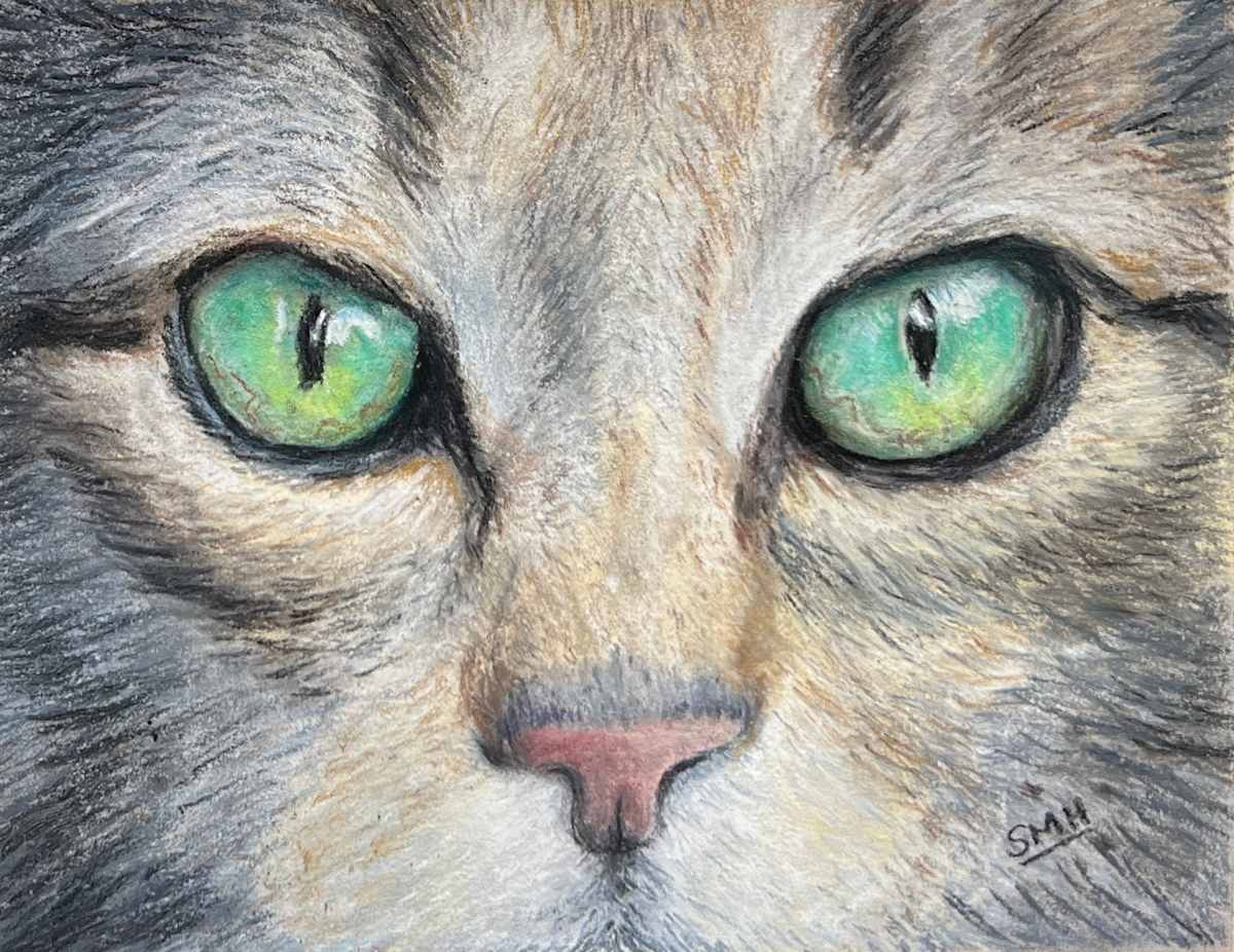 Cat Eyes - Tabby by Stephanie Henry, Image 1.