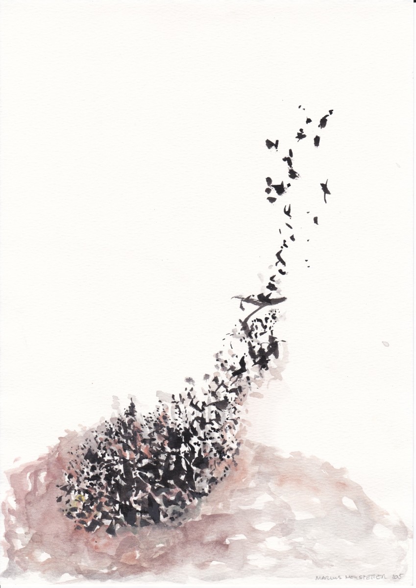 Aerial View 4 by Marcus Neustetter 