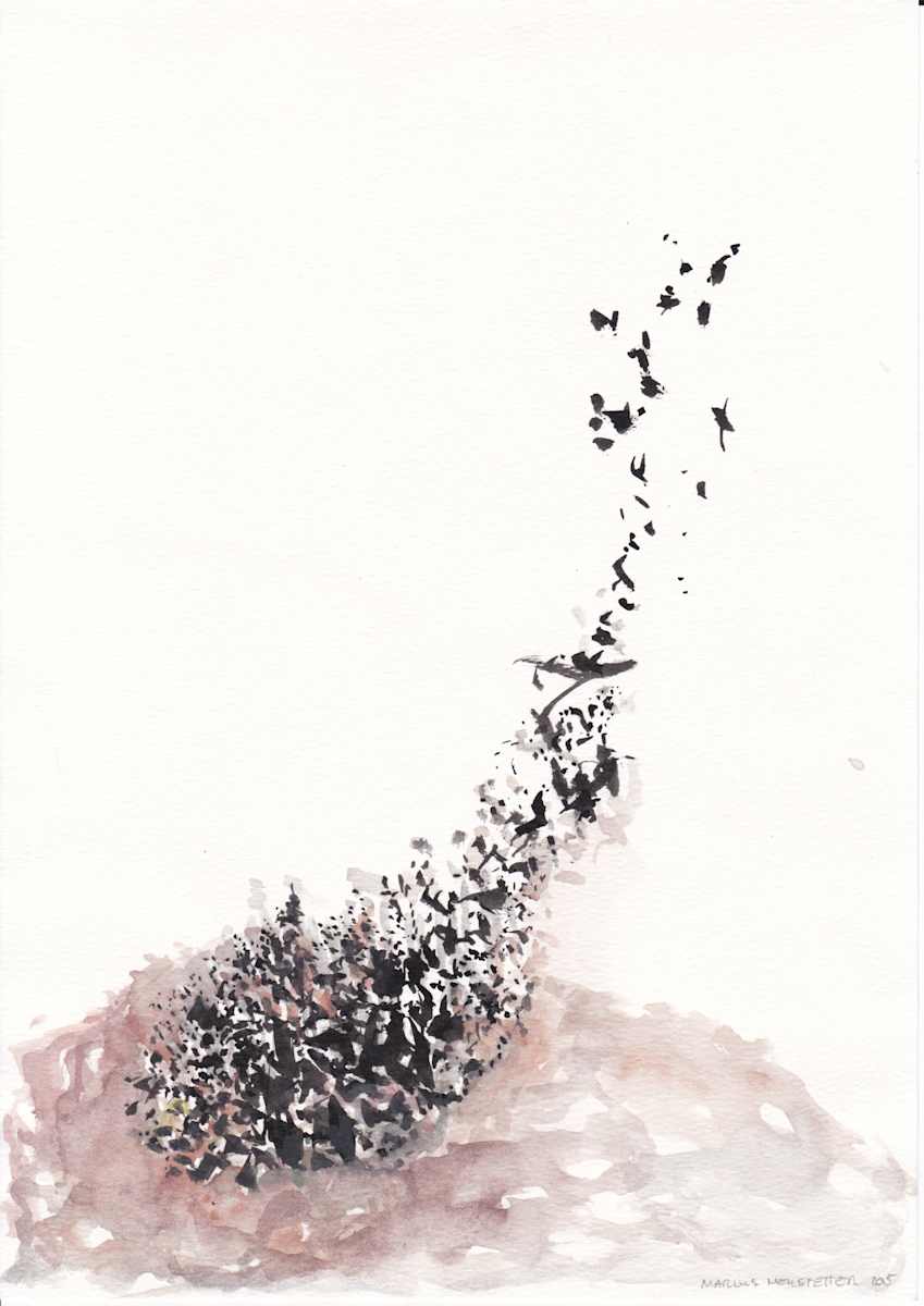 Aerial View 4 by Marcus Neustetter, Image 1.