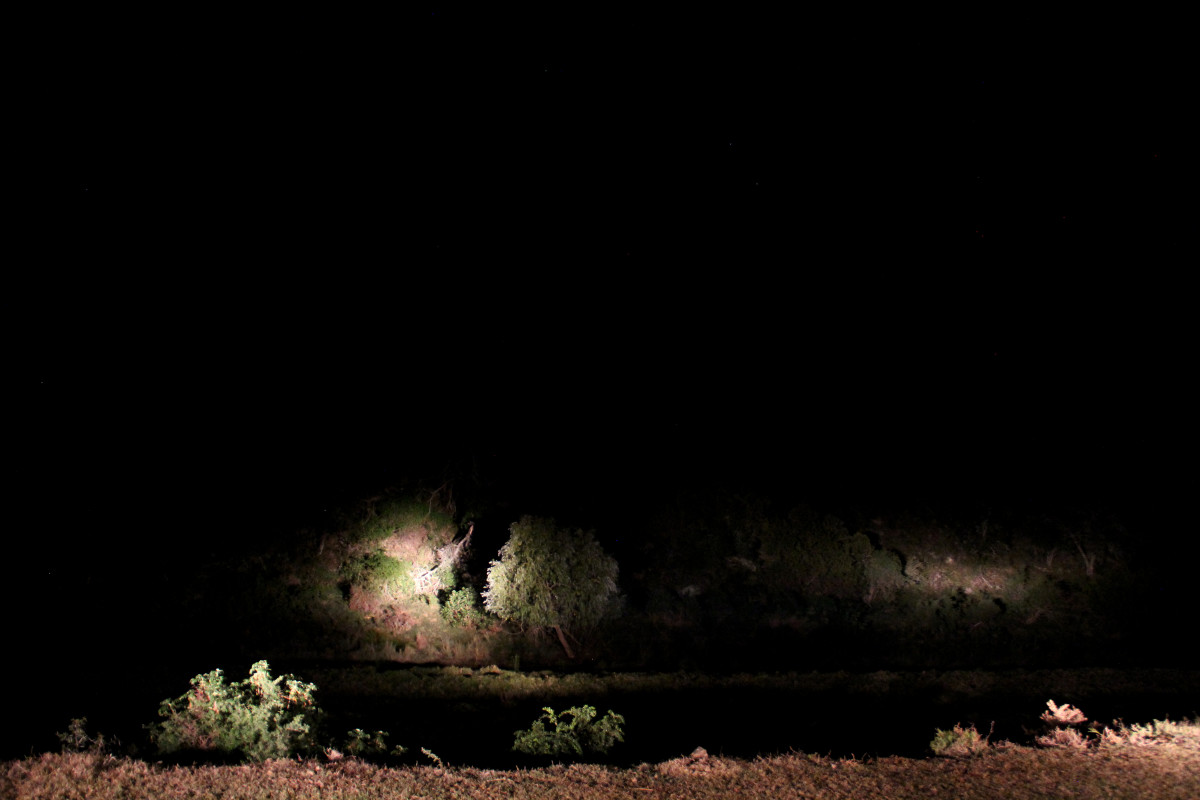 Car Headlights by Marcus Neustetter 