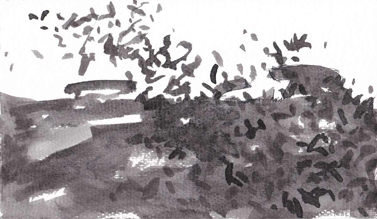 Landscape 2 by Marcus Neustetter, Image 1.